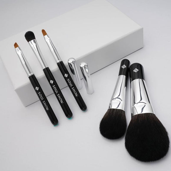 FACELANDY 5 pcs Protable Mini Makeup Brushes Set with Travel Box S003