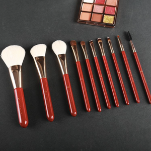 FACELANDY Razer Red Make Up Brush Set 10 PCS S007P